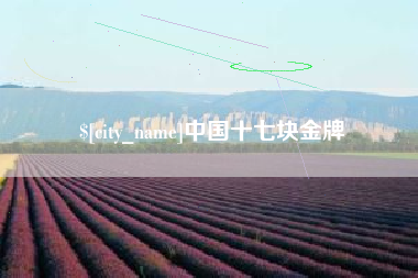 琼中中国十七块金牌