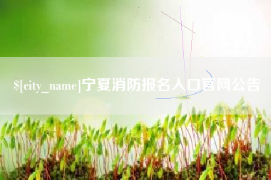 琼中宁夏消防报名入口官网公告