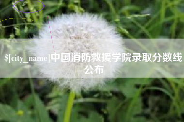 琼中中国消防救援学院录取分数线公布