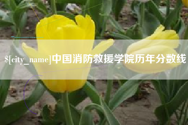 琼中中国消防救援学院历年分数线