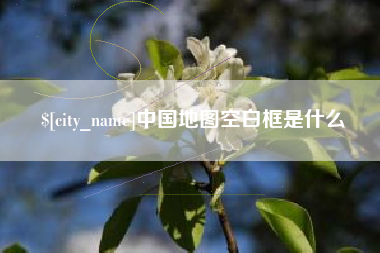 琼中中国地图空白框是什么