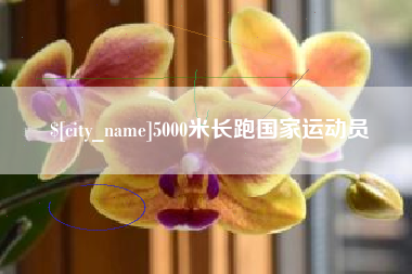 琼中5000米长跑国家运动员