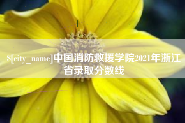 琼中中国消防救援学院2021年浙江省录取分数线