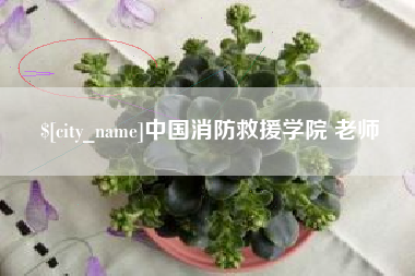 琼中中国消防救援学院 老师