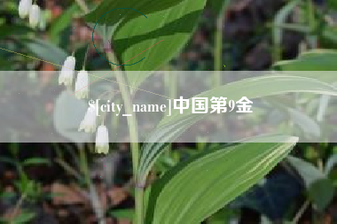 琼中中国第9金