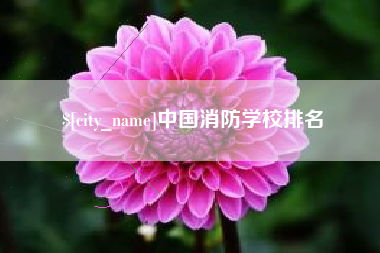 琼中中国消防学校排名
