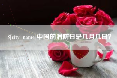 琼中中国的消防日是几月几日？
