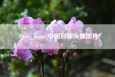 琼中中国冠军头像图片