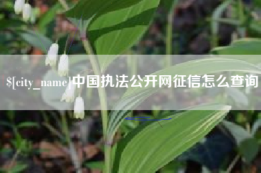 琼中中国执法公开网征信怎么查询