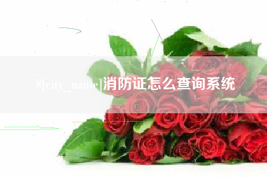 琼中消防证怎么查询系统