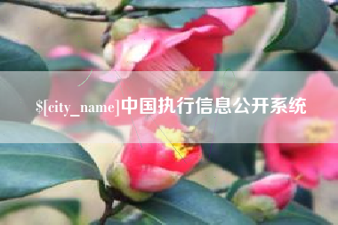 琼中中国执行信息公开系统