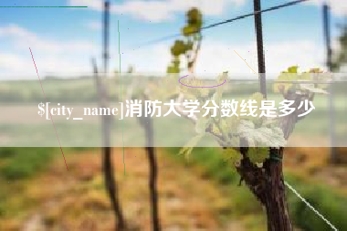 琼中消防大学分数线是多少