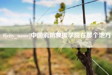 琼中中国消防救援学院在那个地方