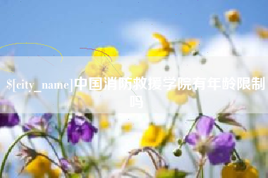 琼中中国消防救援学院有年龄限制吗