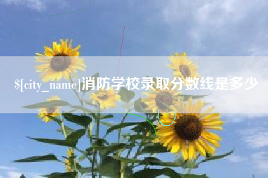 琼中消防学校录取分数线是多少