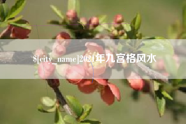 琼中2021年九宫格风水