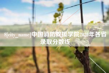 琼中中国消防救援学院2020年各省录取分数线