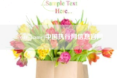 琼中中国执行网信息官网