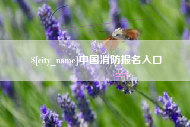 琼中中国消防报名入口