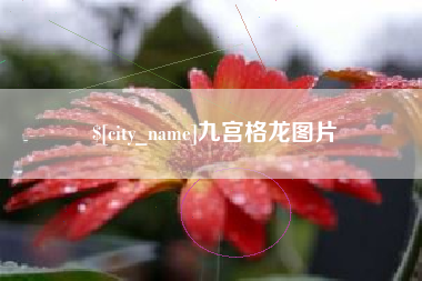 琼中九宫格龙图片