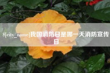 琼中我国消防日是哪一天消防宣传日