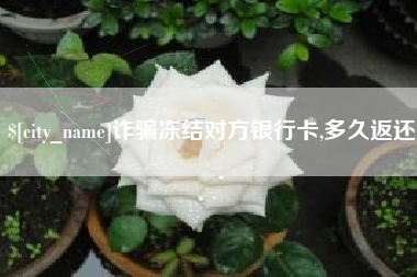 琼中诈骗冻结对方银行卡,多久返还