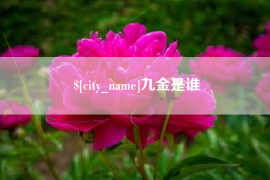 琼中九金是谁