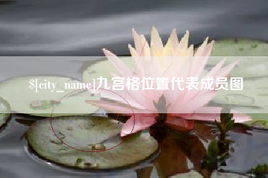 琼中九宫格位置代表成员图
