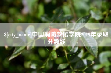 琼中中国消防救援学院2019年录取分数线