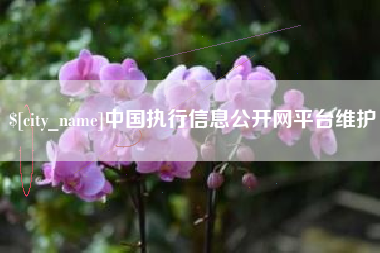 琼中中国执行信息公开网平台维护