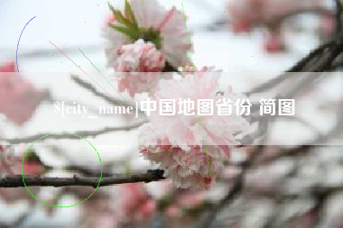 琼中中国地图省份 简图