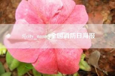 琼中全国消防日海报