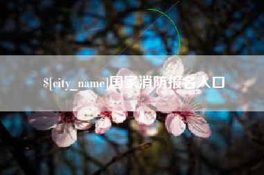 琼中国家消防报名入口