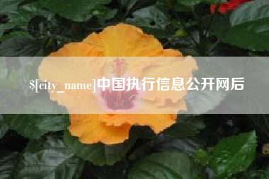琼中中国执行信息公开网后