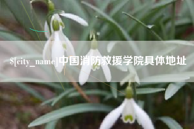 琼中中国消防救援学院具体地址