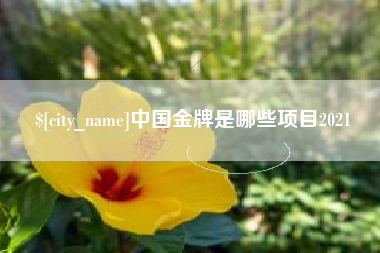 琼中中国金牌是哪些项目2021