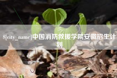 琼中中国消防救援学院安徽招生计划