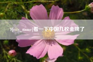 琼中看一下中国几枚金牌了