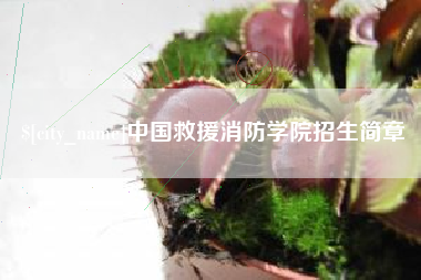琼中中国救援消防学院招生简章