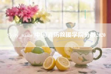 琼中中国消防救援学院分数2020