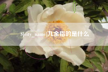 琼中九金指的是什么