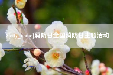琼中消防日全国消防日主题活动