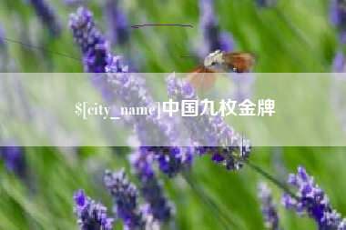 琼中中国九枚金牌