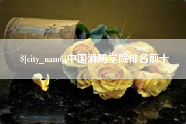 琼中中国消防学院排名前十