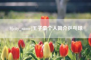 琼中王子豪个人简介乒乓球