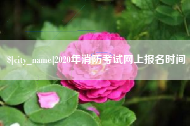 琼中2020年消防考试网上报名时间