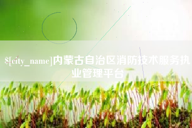 琼中内蒙古自治区消防技术服务执业管理平台