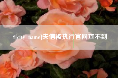琼中失信被执行官网查不到