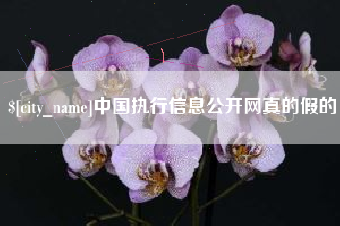 琼中中国执行信息公开网真的假的