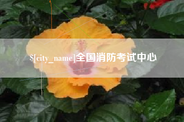 琼中全国消防考试中心